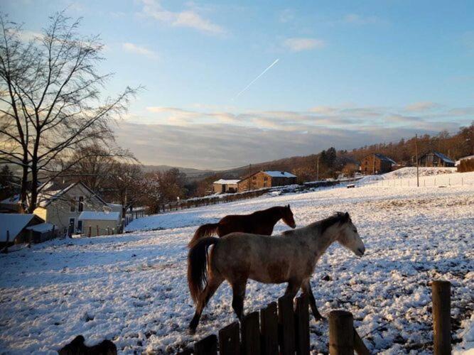 Gorgeous Holiday Home In Stoumont With Garden Eksteriør billede
